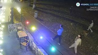 VIDEO Hoții de peturi lovesc din nou! Un restaurant din Râșnov, spart de cinci tineri