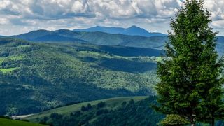 7 motive pentru care să vizitezi Ținutul Zimbrului din județul Neamț