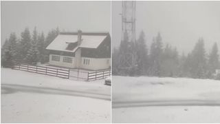 VIDEO Aprilie a venit cu zăpada mieilor! Ninsori ca în plină iarnă în județul Hunedoara