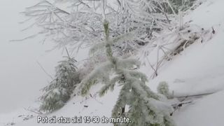 VIDEO Ninsori și temperaturi de &icirc;ngheț &icirc;n aprilie