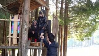 Căsuța din copac a celor mici