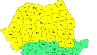 cod galben vijelii, ploi, frig, inghet 