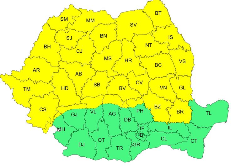 cod galben vijelii, ploi, frig, inghet 