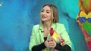 VIDEO &bdquo;Și cocoșul se poate vopsi&rdquo;. Animalele de companie, schimbări de look