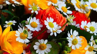 Ce nume se sărbătoresc de Florii