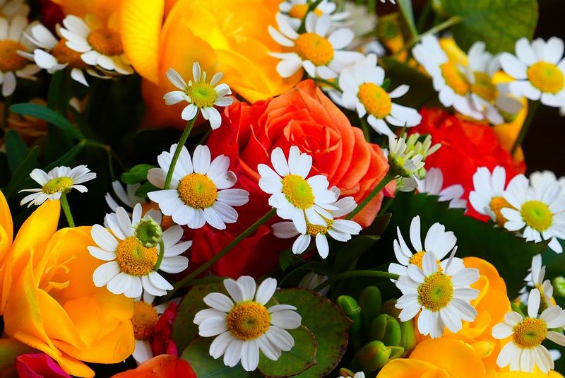 Ce nume se sărbătoresc de Florii