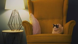 Piese de mobilier inteligente pentru confort și spațiu &icirc;n living: fotoliu și canapea extensibile 