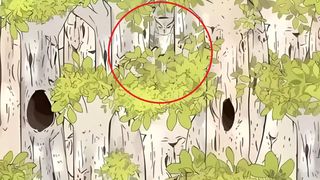 iluzie optica, bufnita, test atentie 