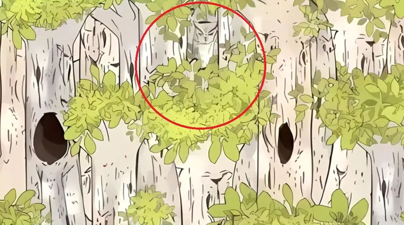 iluzie optica, bufnita, test atentie 