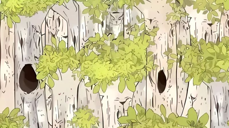 iluzie optica, bufnita, test atentie 