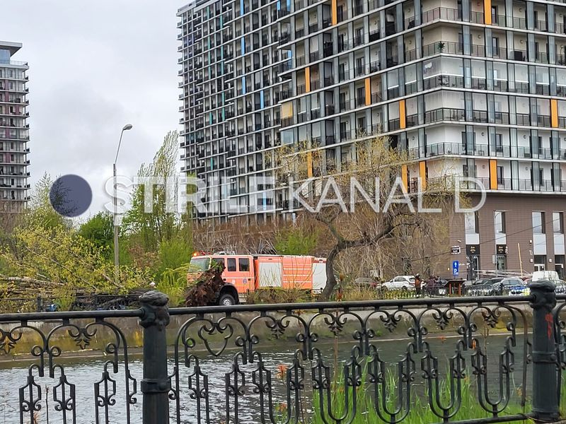 copac prabusit, splaiul unirii, bucuresti 