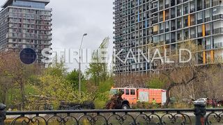 copac prabusit, splaiul unirii, bucuresti 