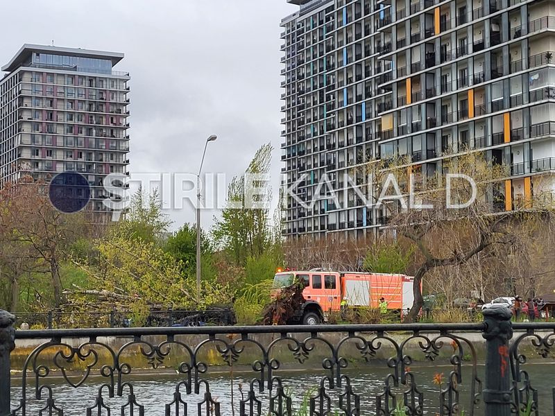 copac prabusit, splaiul unirii, bucuresti 