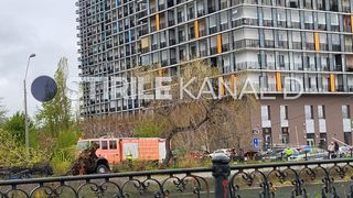 copac prabusit, splaiul unirii, bucuresti 