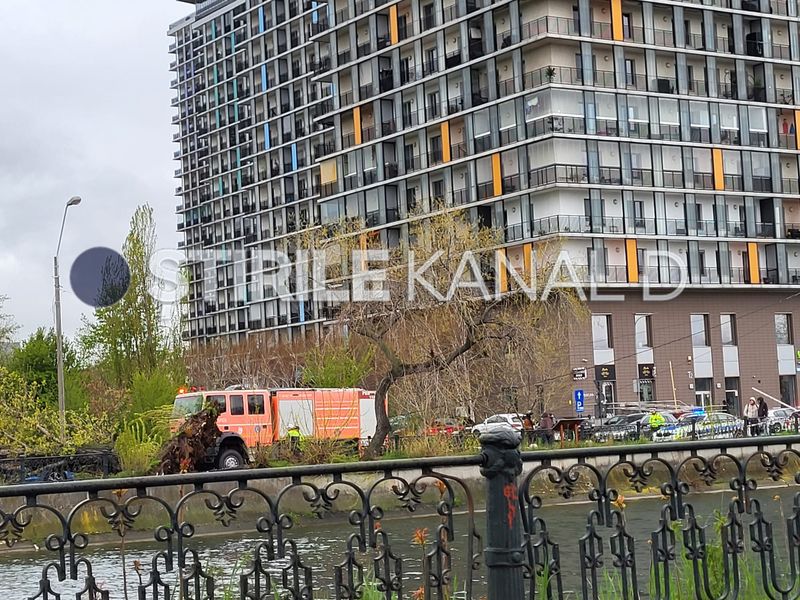 copac prabusit, splaiul unirii, bucuresti 
