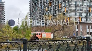 copac prabusit, splaiul unirii, bucuresti 