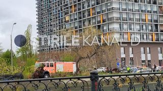 copac prabusit, splaiul unirii, bucuresti 