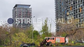 copac prabusit, splaiul unirii, bucuresti 