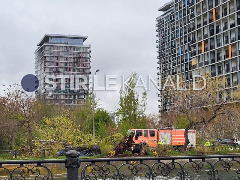 copac prabusit, splaiul unirii, bucuresti 