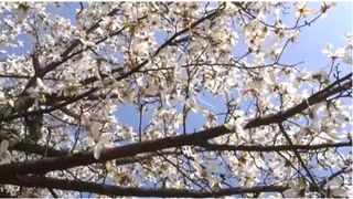 Top cele mai bune locuri pentru poze din București