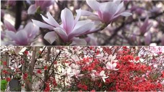 Top cele mai bune locuri pentru poze din București