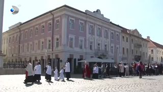 VIDEO &bdquo;Se vestește Săptăm&acirc;na Mare&rdquo;. Procesiuni impresionante de Florii