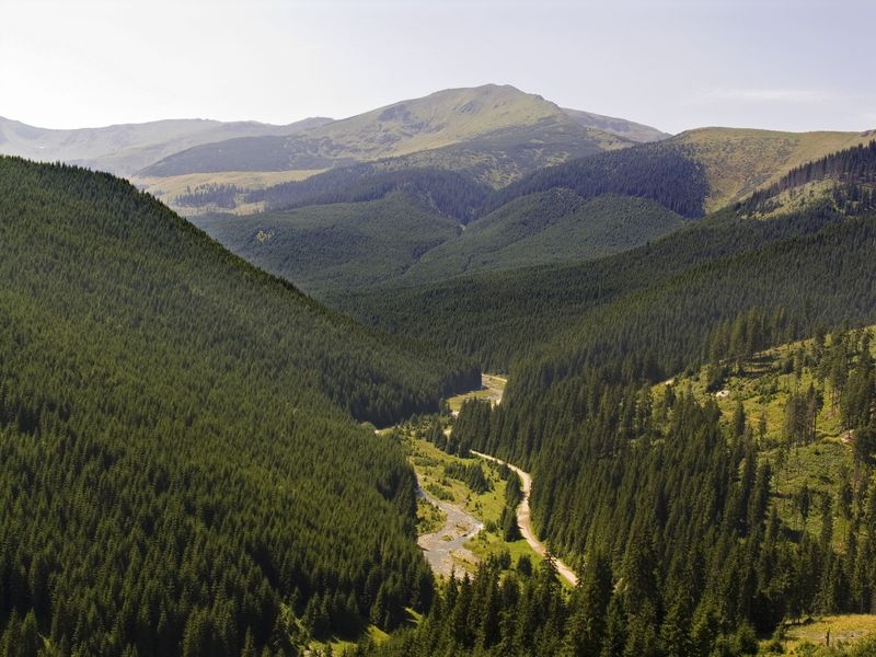 Pasul Prislop, drumul care leagă Maramureșul de Moldova