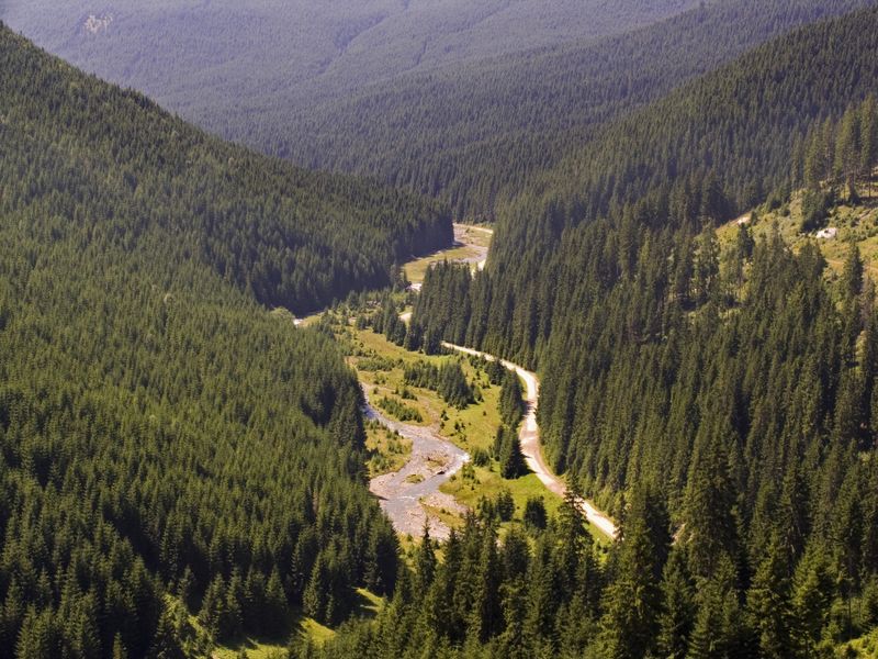 Pasul Prislop, drumul care leagă Maramureșul de Moldova