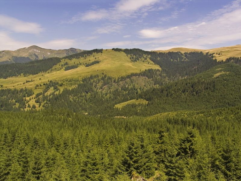 Pasul Prislop, drumul care leagă Maramureșul de Moldova