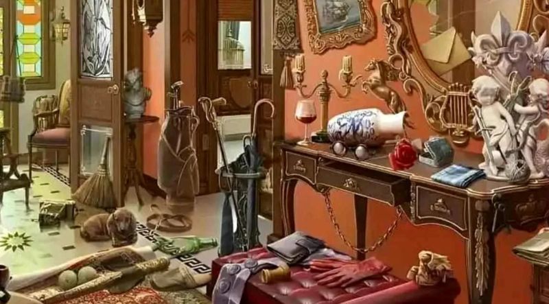 iluzie optica, pisica, test de atentie 