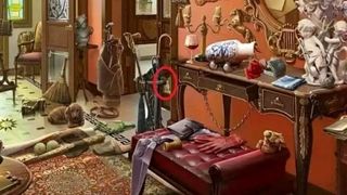 iluzie optica, pisica, test de atentie 