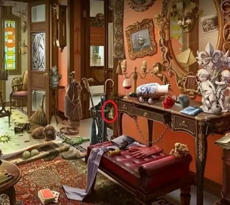 iluzie optica, pisica, test de atentie 