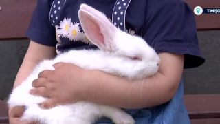 VIDEO Pâinea de zi cu zi, dorința celor sărmani. Mulți copii nici nu visează jucării sofisticate de la Iepuraș: "Eu nu vreau nimic de la el.."