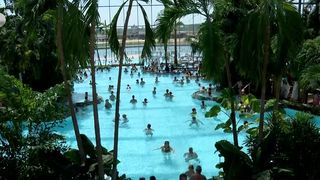 VIDEO „Vrem să chemăm vara”. Sub palmieri, după masa de Paște