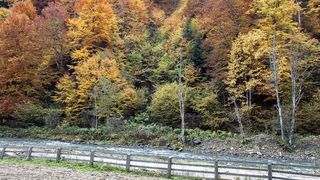 C&acirc;t costă o mini-vacanță &icirc;n Maramureș de 1 mai 2025?