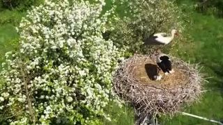 VIDEO Comuna unde berzele sunt &bdquo;rezidente&rdquo;