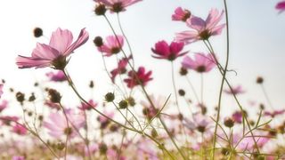 Vremea &icirc;n următoarele 4 săptăm&acirc;ni