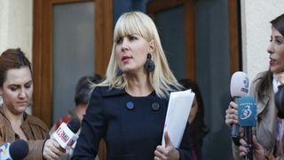 Elena Udrea ar putea părăsi penitenciarul mai devreme dec&acirc;t era prevăzut, dacă instanța &icirc;i va admite cererea de reducere a pedepsei din dosarul &bdquo;Gala Bute&rdquo;. 