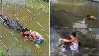 VIDEO Turist sfârtecat, după ce s-a pozat lângă o "statuie-crocodil"