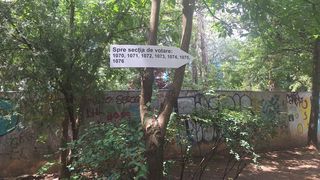 Unde votez la alegerile prezidențiale din România 2025? Lista secțiilor de votare