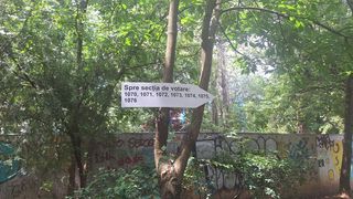 Program secții de votare - prezidențiale 2025