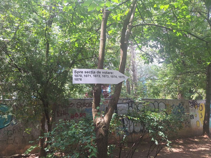 Program secții de votare - prezidențiale 2025