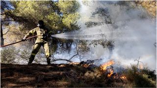 Incendii Grecia 2025. Care este motivul care îi alarmează pe experți? "Riscul este ridicat"