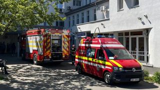 Câteva ciuperci au băgat două persoane în spital. Mama și fiica au început să se simtă rău imediat după ce au mâncat