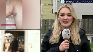 VIDEO Tată și fiică, atacați de o haită de câini. Bărbatul s-a ales cu răni grave