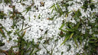 VIDEO Prăpăd după codul roșu de grindină