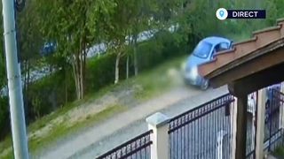 VIDEO Anchetă penală după ce a &icirc;mpușcat un c&acirc;ine