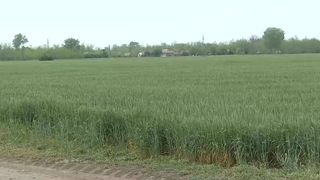 VIDEO „Nu mai avem apă nici în fântâni”. În ciuda ploilor, e secetă