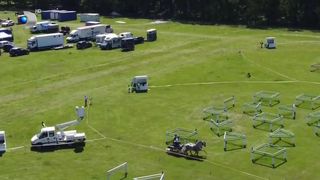 VIDEO „Am crescut între cai”. Spectacol ecvestru la Oradea