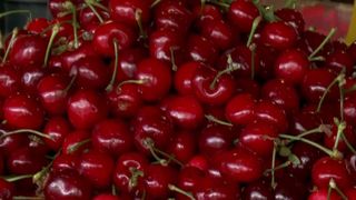 VIDEO &bdquo;Nu sunt &icirc;n această perioadă&rdquo;. Cireșe rom&acirc;nești doar pe etichetă